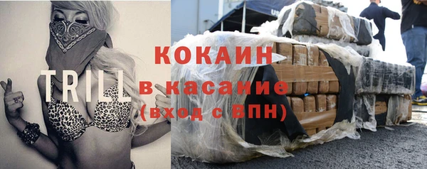 шишки Балахна