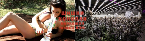 гашик Баксан