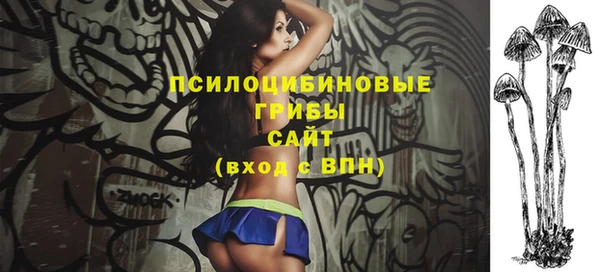 гашик Баксан