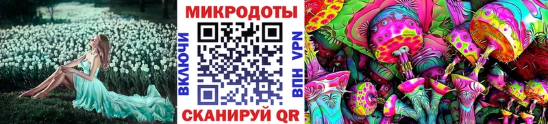 Псилоцибиновые грибы мицелий Нижние Серги